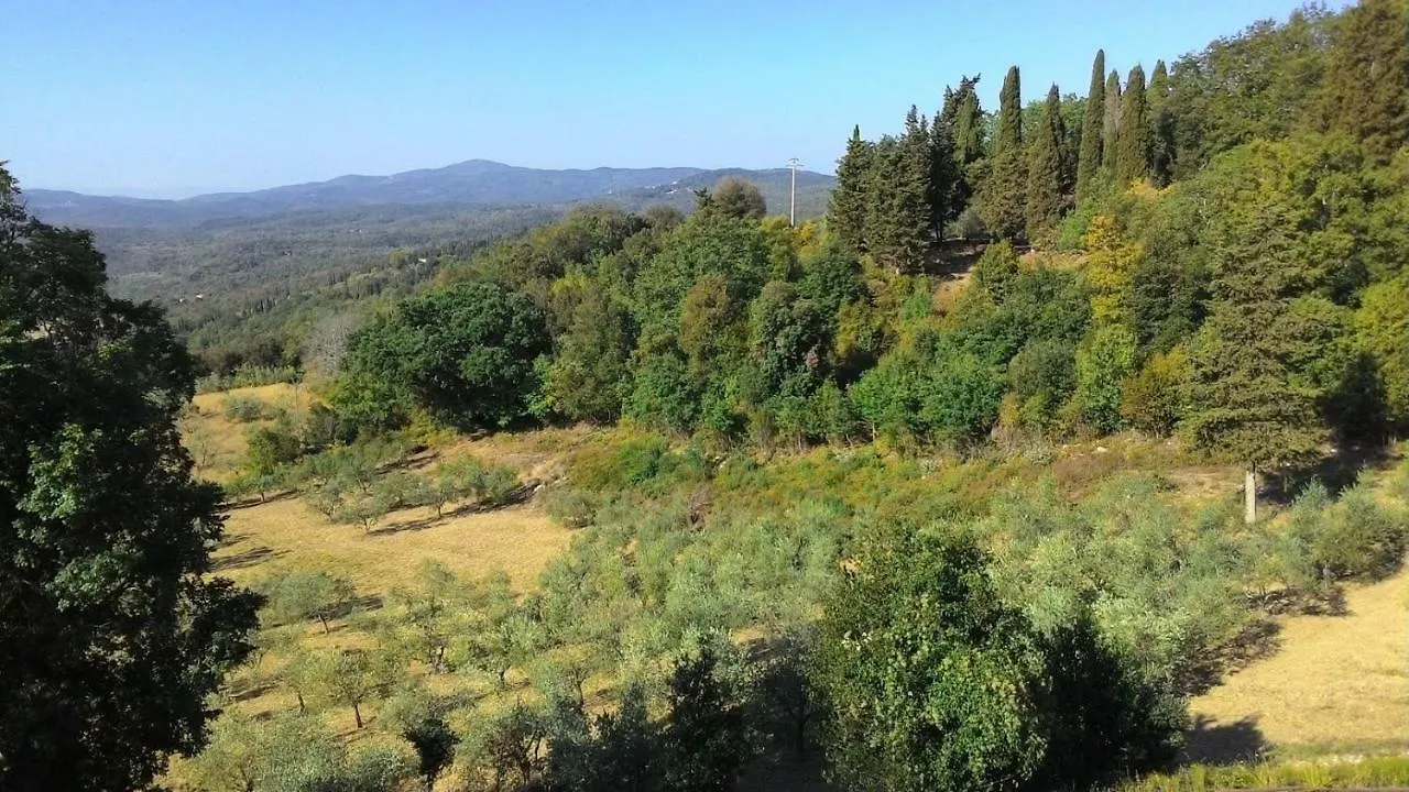 Appartamento La Casa dei Sogni Monteverdi Marittimo Italia